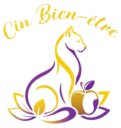 Logo Cin Bien-être, chat stylisé, pomme et feuillage